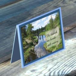 Card 06