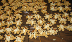 Ciniders (Apple-Cinnamon Spiders)