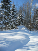 Lots of fresh snow!