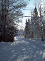 snowy driveway