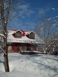 the house