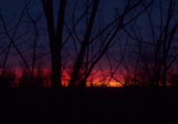 sunrise 2