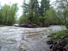 The river was quite high, but not flooding.