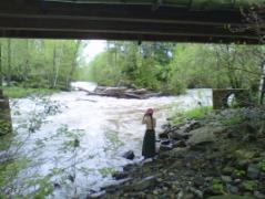 Taking pictures