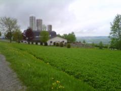 A picturesque farm