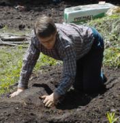 planting
