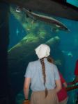 watching the black sturgeon