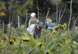 working in the garden