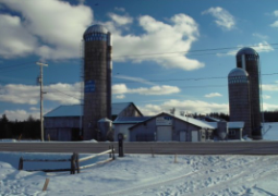 the farm