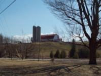 There is a reason this place is called Barnston...
