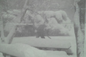 clearing snow - can you guess who it is?