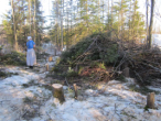 piling up the brushwood