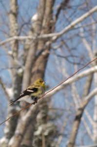 20140416_ELF_2647