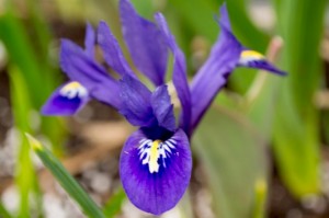 20140430_ELF_2734