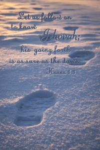 20150101_ELF_3743