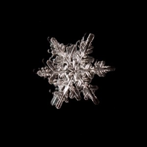 20150130_ELF_4059