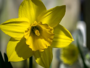 20150507_ELF_5103