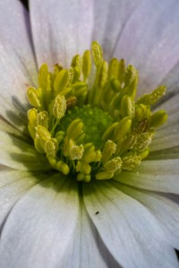 20150508_ELF_5126