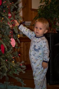 20151223_ELF_7955