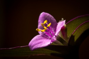 20160326_ELF_8651